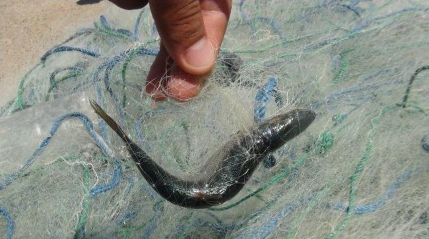 Jandarma Ka&ccedil;ak Avlanmaya G&ouml;z A&ccedil;tırmıyor