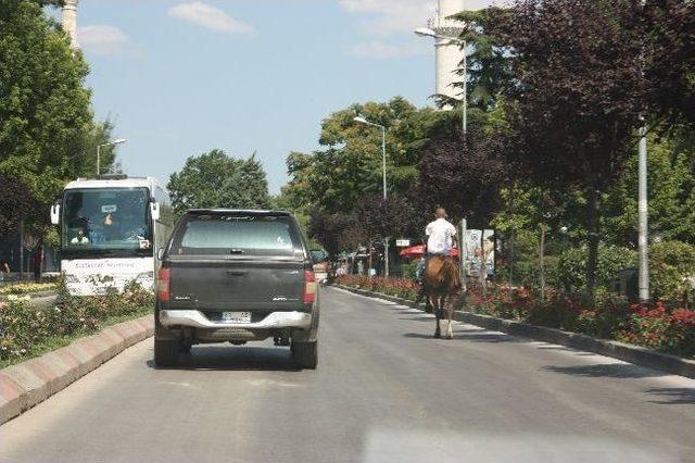 Atıyla Işıklarda Bekledi, Ara&ccedil;larla Yol Aldı 1