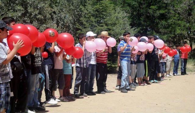 Öğrenciler Hem Tatil Yaptı Hem İngilizce Öğrendi 1