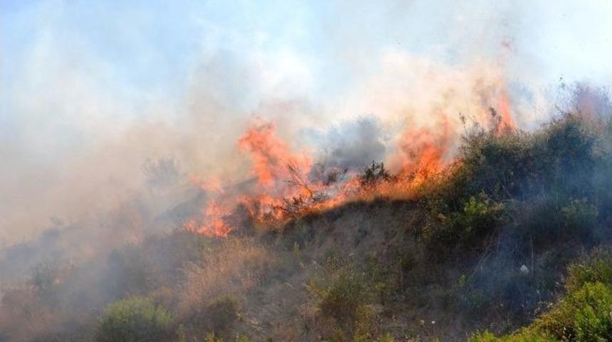 S&ouml;ke&rsquo;de Korkutan Yangın