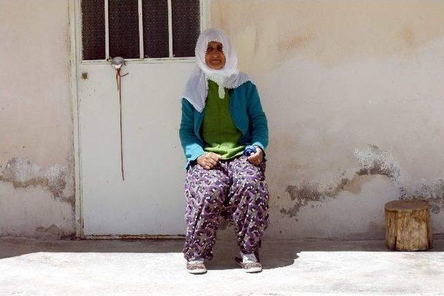 Kck Eşbaşkanı Olan Bese Hozat Kod Adlı H&uuml;lya Oran&rsquo;ın 86 Yaşındaki Annesinden Barış Mesajı 3