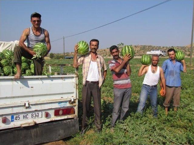 Karpuz Tarlada 35, Tezgahta 75 Kuruş