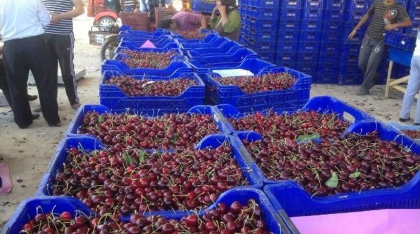 Pazarlar&rsquo;da Kiraz Sezonu Sona Erdi