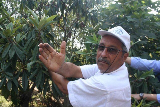 K&ouml;m&uuml;r&uuml;n Tozunu R&uuml;zgar Savurunca Belde Halkı Isyan Etti! 1