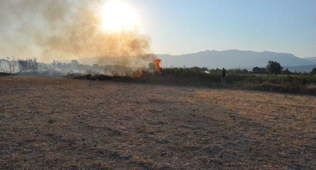 Edremit’in Bostancı Köyünde Yangın Çıktı