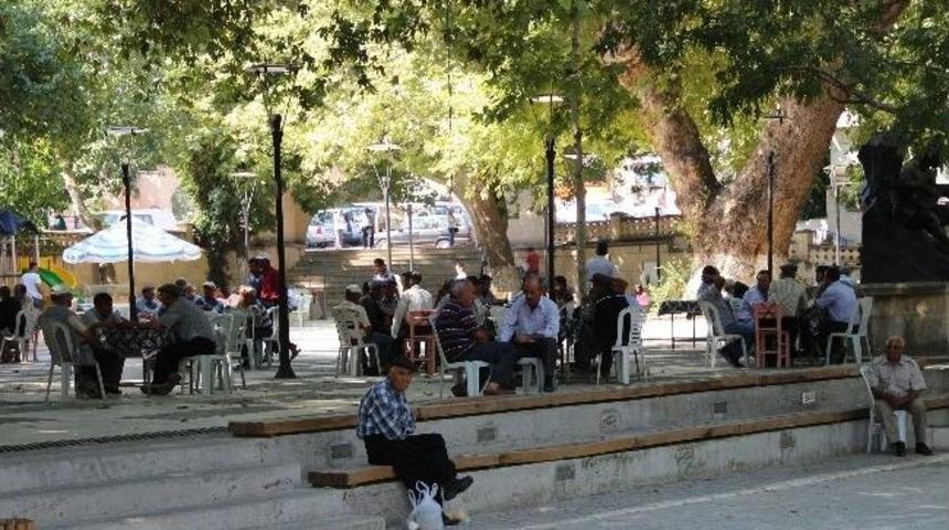 Mut&rsquo;lular &Ccedil;ınar Altında Serinliyor