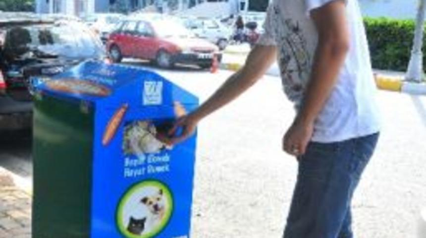 Bayat Ekmekler Hayvanlar İ&ccedil;in Toplanıyor