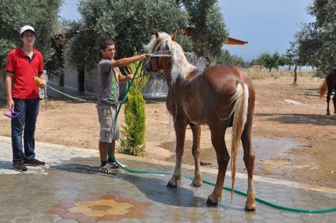 Başkan Alıcık&rsquo;tan At &Ccedil;iftliğine Ziyaret