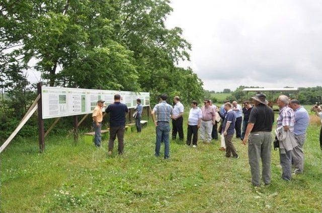 Gümüşhane’ye Rodale Araştırma Enstitüsü'ne Benzer Organik Tarım Çiftliği Kurulacak