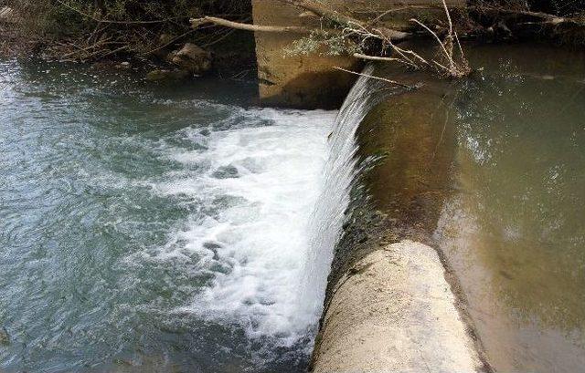 (özel Haber) Tatlı Su Kefallerinin Şelaleyi Aşma Mücadelesi