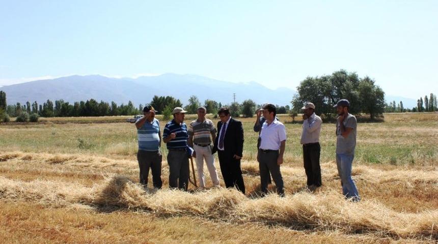 Hububat Hasadında Dane Kaybına Sıkı Denetim