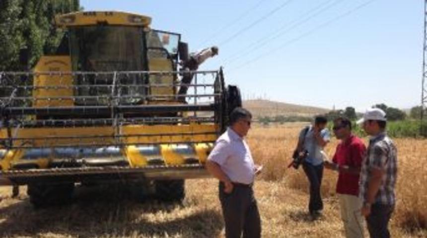 Dane Kaybına Dikkat