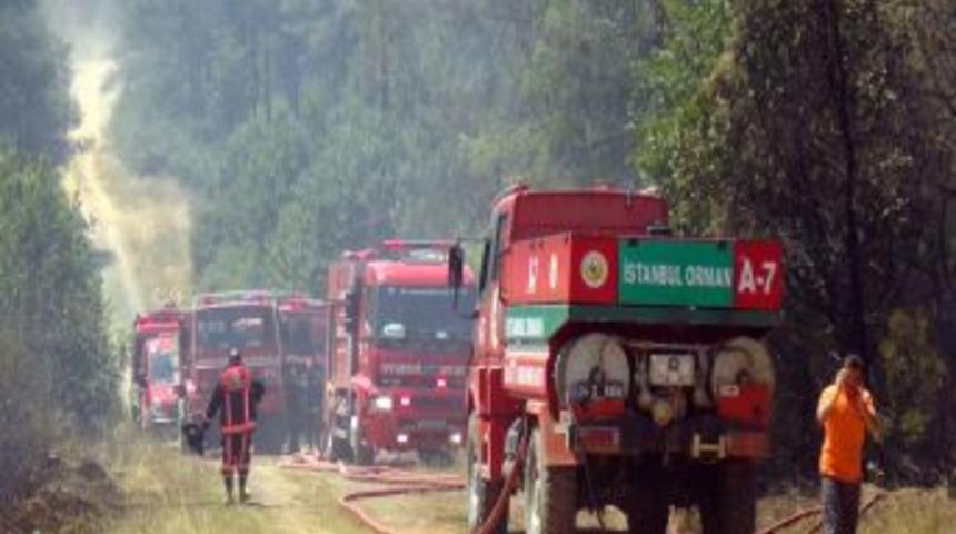 Beykoz'da Orman Yangını