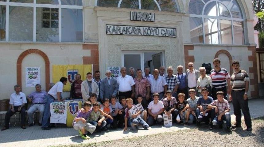 Ttb'den &ldquo;fındığı Daldan Değil, Yerden Toplayın&rdquo; &Ccedil;ağrısı