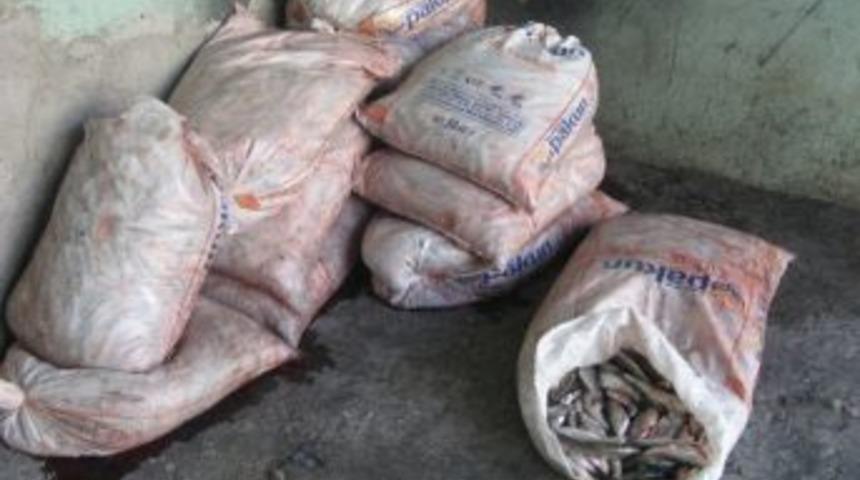 Van&rsquo;da Ka&ccedil;ak Balık Operasyonu