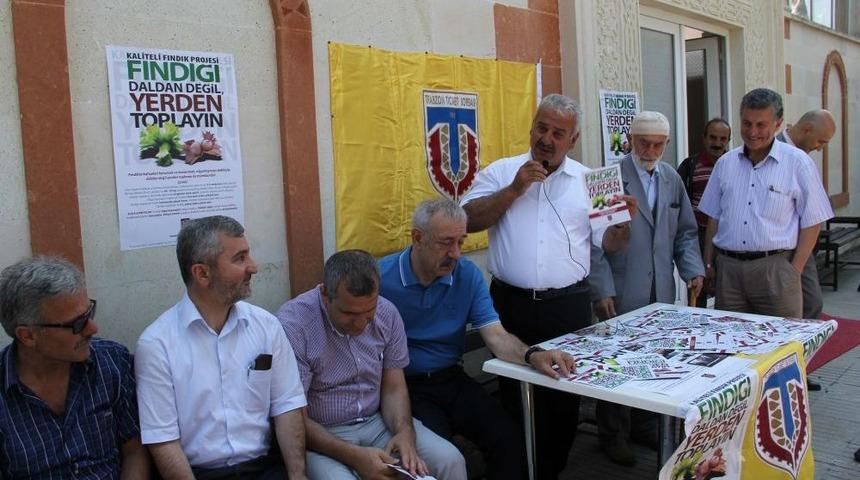 'Fındığı Daldan Değil, Yerden Toplayın'