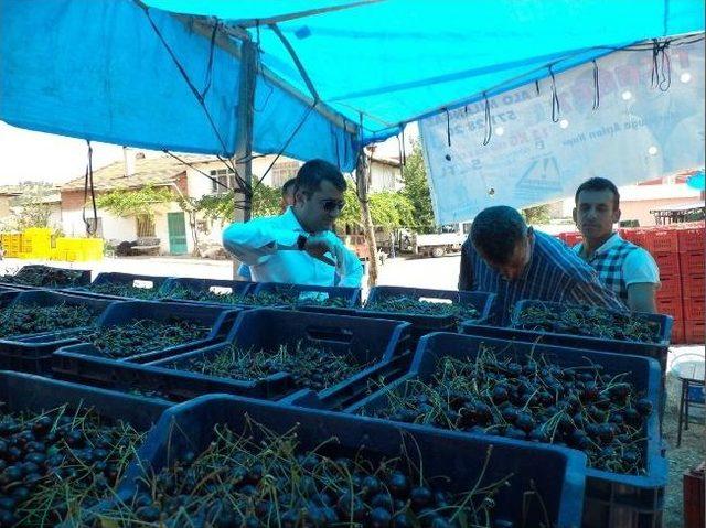 Kaymakam İshak Çınar’dan Meyve Alım Merkezi'ne Ziyaret