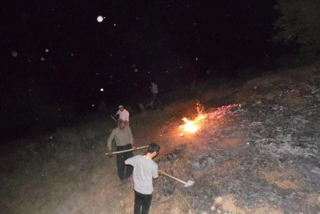 Adıyaman’da Orman Yangını