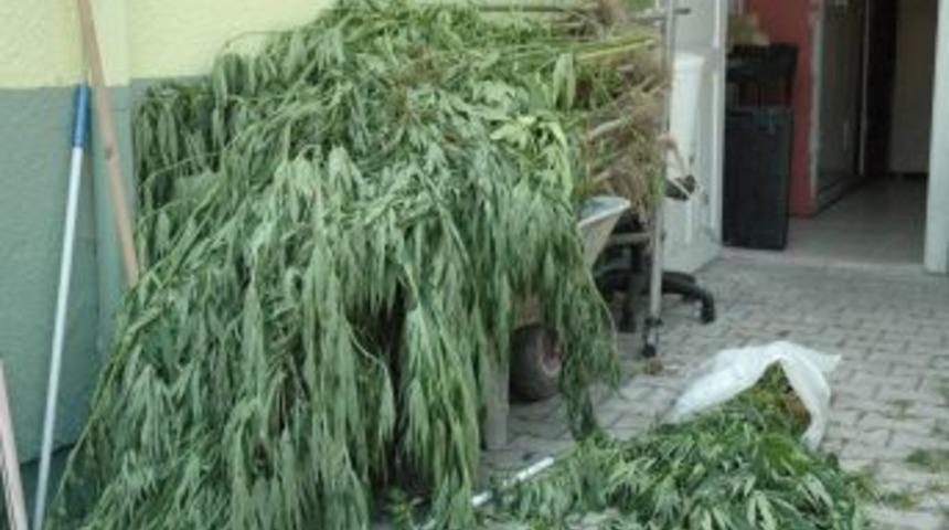 Sapanca'da Uyuşturucu Operasyonu
