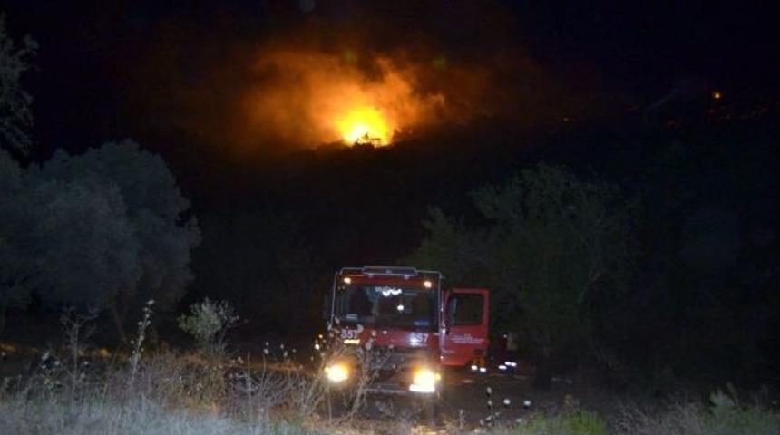 Dat&ccedil;a Yazın İlk B&uuml;y&uuml;k Yangınını Ucuz Atlattı