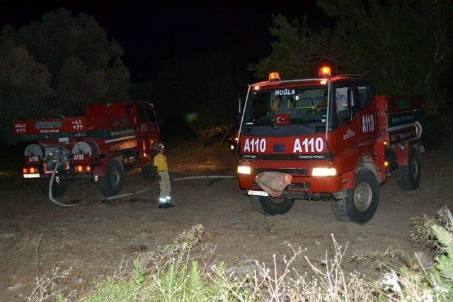 Datça Yazın İlk Büyük Yangınını Ucuz Atlattı