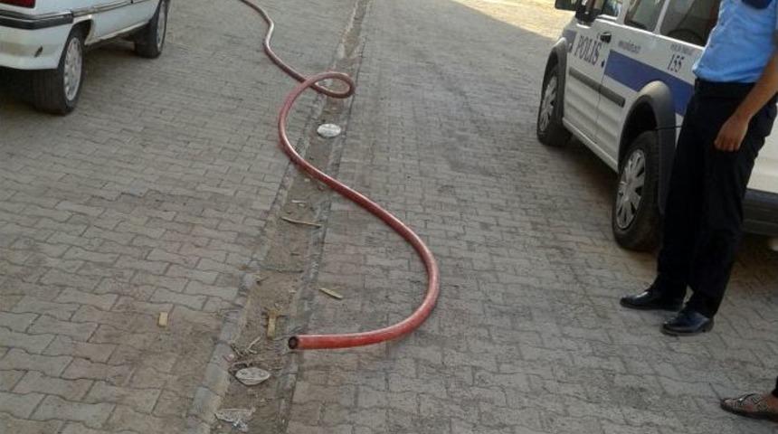 Elektrik Kablolarını &Ccedil;alan Şahıs Yakalandı