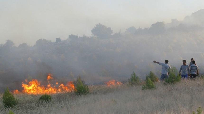 Araban&rsquo;da 300 D&ouml;n&uuml;ml&uuml;k Orman Alanı Yandı