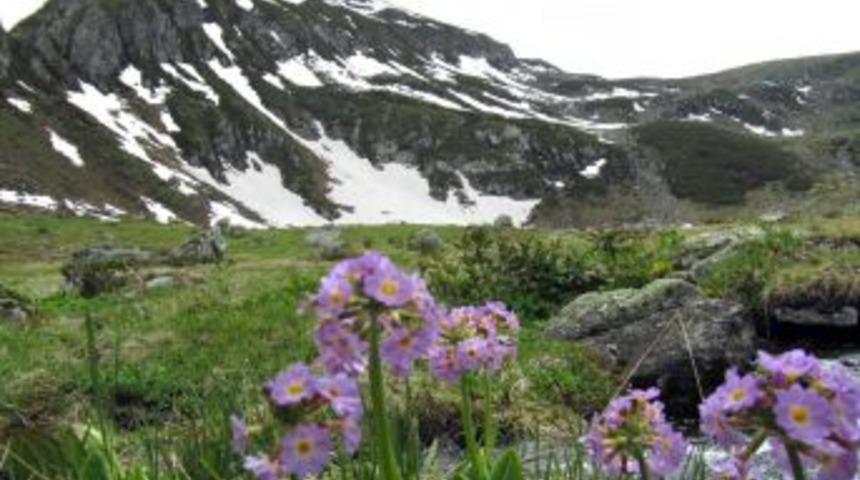 Rize'de 'Tunca Vadisi' Tabiat Parkı Ilan Edildi