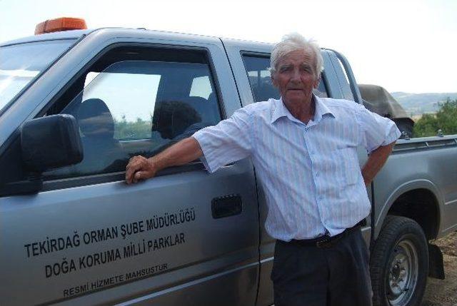 300 Adet Keklik Doğaya Bırakıldı 2