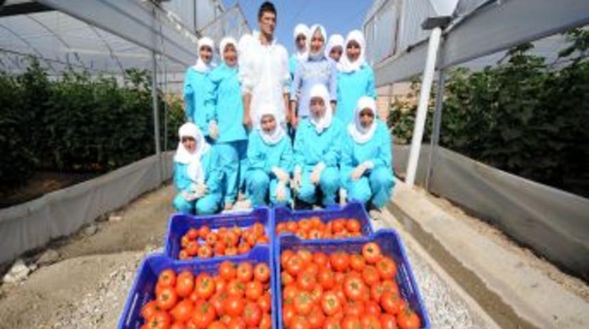 M&uuml;şteri Şikayet Edince Kendi Sebzelerini &Uuml;rettiler