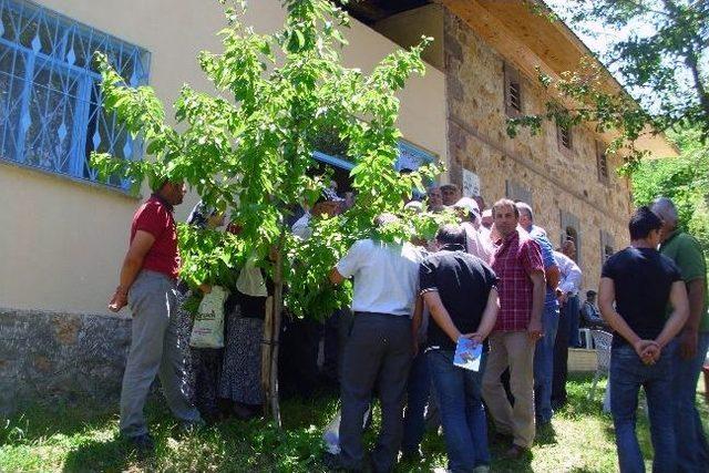 Yeşildere Köyünde Ceviz Kursu Verildi