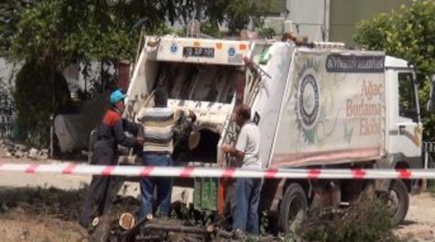 Durak I&ccedil;in Ağa&ccedil; Kesen B&uuml;y&uuml;kşehir Belediyesi Vatandaştan Anlayış Istedi