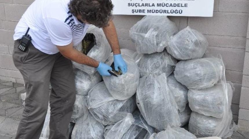 Kiralık Otomobille Uyuşturucu Sevkiyatı