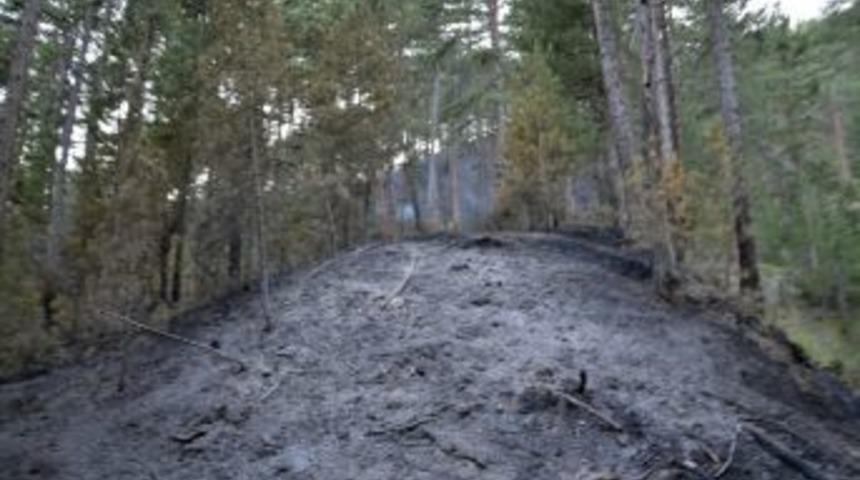 Kargı&rsquo;da Orman Yangını