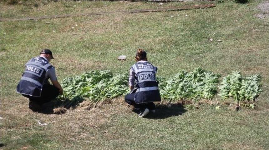 Polis Hint Keneviri Ele Ge&ccedil;irdi