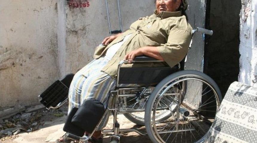 Bodrumlu Hevse, Tekerlekli Sandalyesine Kavuştu