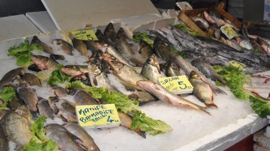 Ramazan Geldi Balık Satışları D&uuml;şt&uuml;