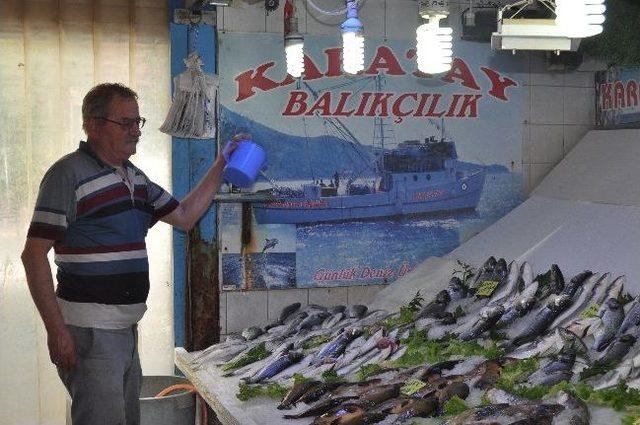 Ramazan Geldi Balık Satışları Düştü