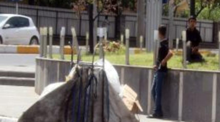 Kavurucu Sıcakta &Ccedil;ocuklar &Ccedil;&ouml;p Toplayarak Ge&ccedil;imini Sağlıyor