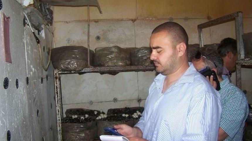 Katarlı Şirket Ceo'su Mantar &Uuml;retim Tesislerini Gezdi