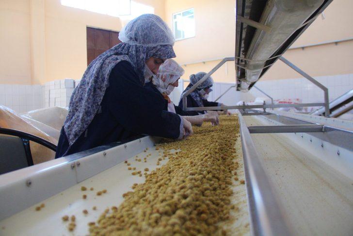  Dedesinden öğrendi fabrika kurdu G1