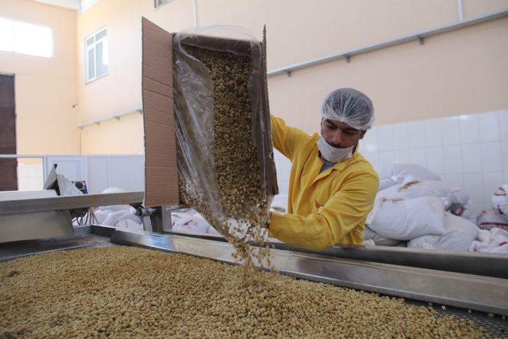  Dedesinden öğrendi fabrika kurdu G3