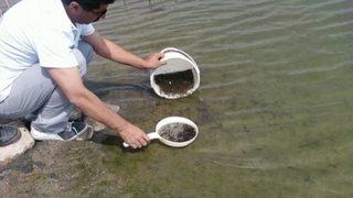 Aksaray’da Göletlere 114 Bin Yavru Balık Bırakıldı