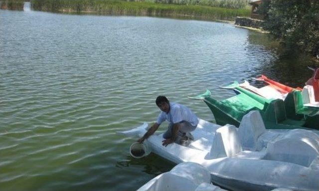 Aksaray’da Göletlere 114 Bin Yavru Balık Bırakıldı