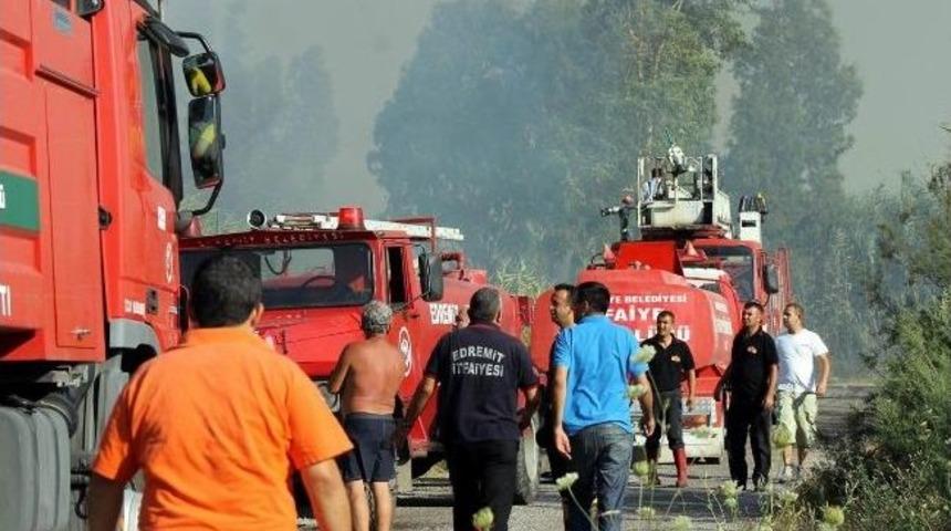Tatil Beldesindeki Yangın Korkuttu