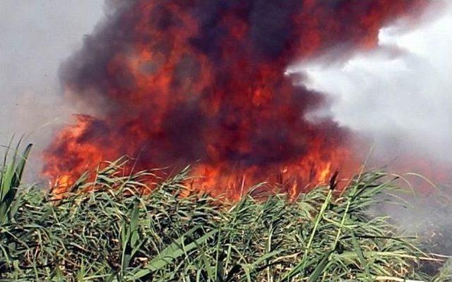 Tatil Beldesindeki Yangın Korkuttu 2