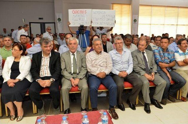 B&uuml;t&uuml;nşehir Harekatı Erken Başladı 1