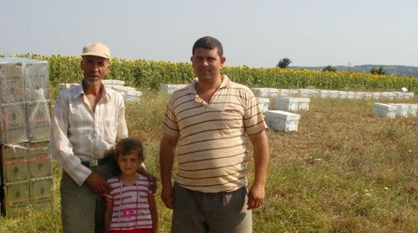 Gezginci Arıcılar Trakyada