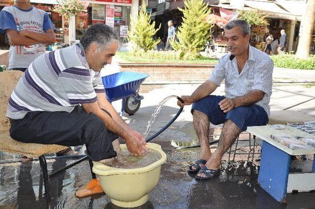 Vatandaşların Sıcakla Mücadelesi