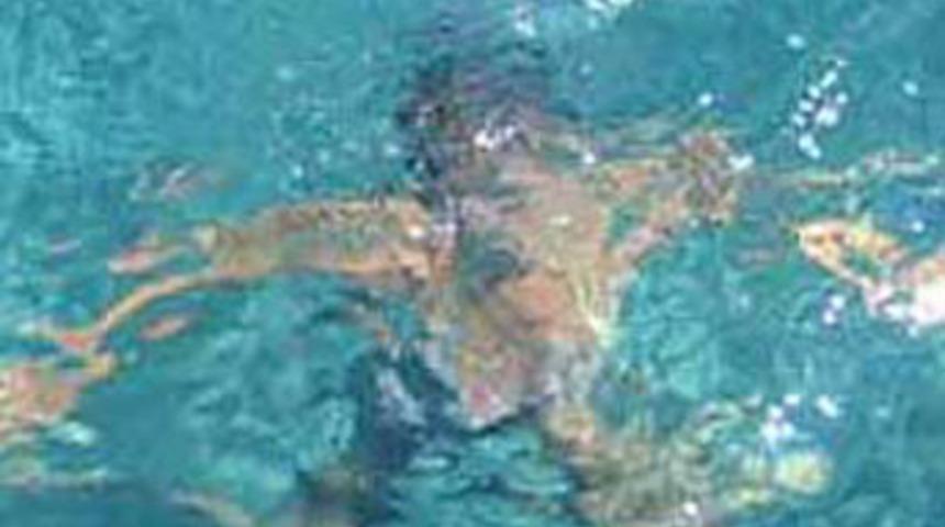 Baraj g&ouml;l&uuml;nde can pazarıı